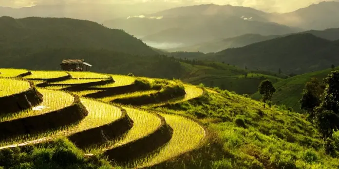 CM Dhami Champions Rural Development in Uttarakhand A Vision for Growth and Prosperity