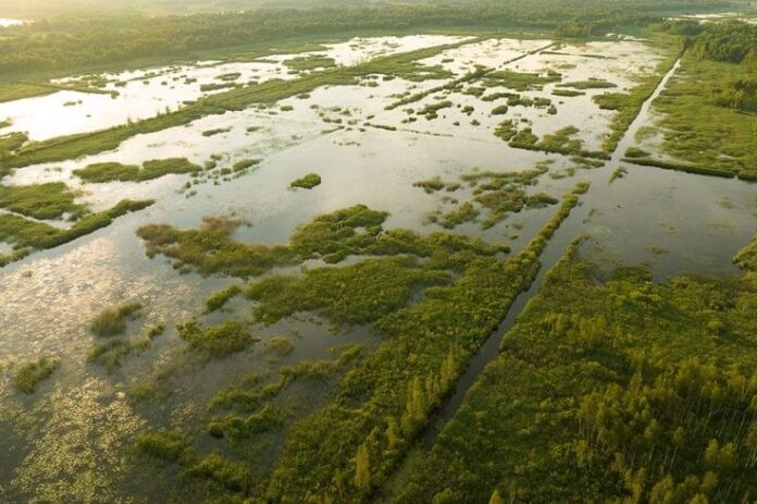 Noida Authority Reclaims Rs 480 Crore Floodplain Land from Encroachers