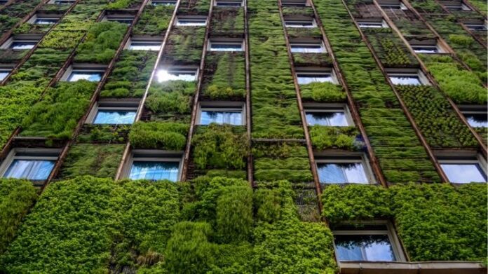 Green Building Movement Drives India’s Real Estate Growth