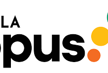 Birla Opus Paints IPL Push Targets Homes Birla Opus Paints IPL Push Targets Homes