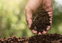 India Soil Energy Move Targets Smarter Homes India Soil Energy Move Targets Smarter Homes