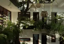 India Indoor Green Homes Redefine Urban Luxury India Indoor Green Homes Redefine Urban Luxury