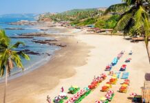 Goa Real Estate Push Sparks Ecological Concerns Goa Real Estate Push Sparks Ecological Concerns
