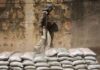 Odisha Cement Capacity Sale Signals Industry Shift Odisha Cement Capacity Sale Signals Industry Shift