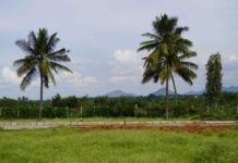 Mogg Estates Pushes Hoskote Farmland Development Growth Mogg Estates Pushes Hoskote Farmland Development Growth