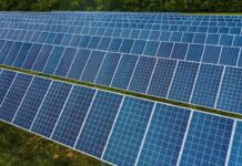 Colliers India Flags Clean Energy Land Demand Surge Colliers India Flags Clean Energy Land Demand Surge