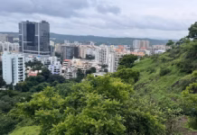 Pune Construction Sector Pushes Green Transition Pune Construction Sector Pushes Green Transition