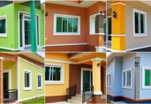 India Paint Sector Targets Climate Resilient Homes India Paint Sector Targets Climate Resilient Homes