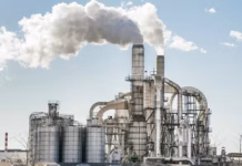 India Market Outlook Highlights Sector Rotation India Market Outlook Highlights Sector Rotation