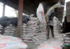 India Cement Sector Sees Governance Transparency Boost India Cement Sector Sees Governance Transparency Boost
