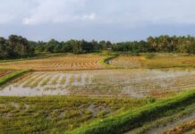 Puravankara Acquires 9.73 Acre Land Parcel in North Bengaluru for Rs 1100 Crore Housing Project Puravankara Acquires 9.73 Acre Land Parcel in North Bengaluru for Rs 1100 Crore Housing Project