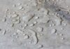 Hydrophobic Cement Demand Rises With Climate Challenges Hydrophobic Cement Demand Rises With Climate Challenges