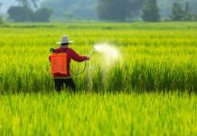 India Specialty Fertilisers Rules Impact Farmers India Specialty Fertilisers Rules Impact Farmers