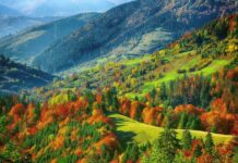 Uttarakhand Eco Resort Strengthens Mountain Tourism Economy Uttarakhand Eco Resort Strengthens Mountain Tourism Economy