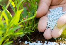 India Fertiliser Imports Face Port Delays India Fertiliser Imports Face Port Delays