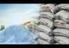 India Cement Markets Face Uneven Demand and Disruption India Cement Markets Face Uneven Demand and Disruption