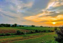 Uttar Pradesh Resets Rules For Urban Land Conversion Uttar Pradesh Resets Rules For Urban Land Conversion